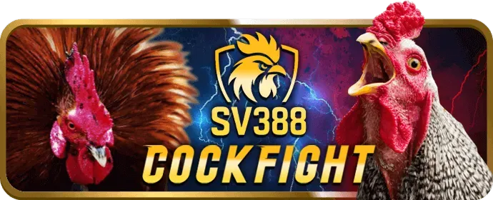 Cookie và công nghệ theo dõi sc888